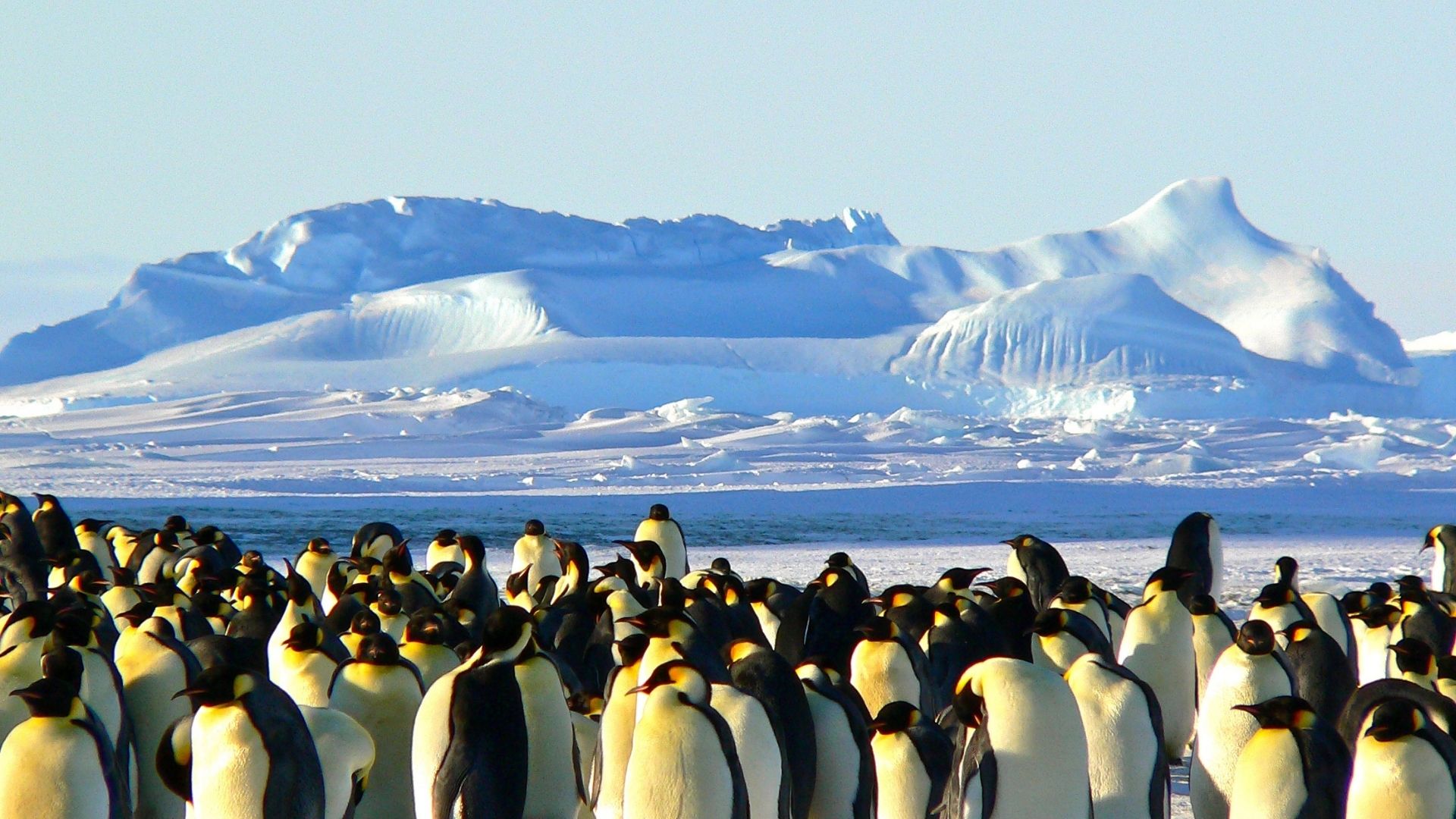 antartika.jpg