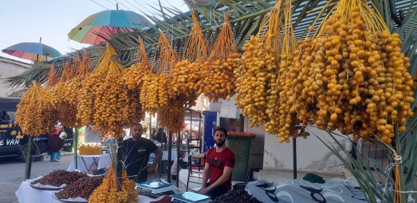 hurma-fest-18.jpg