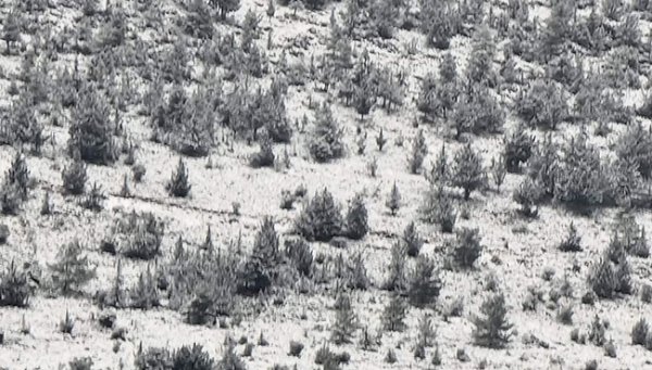 k6-014.jpg