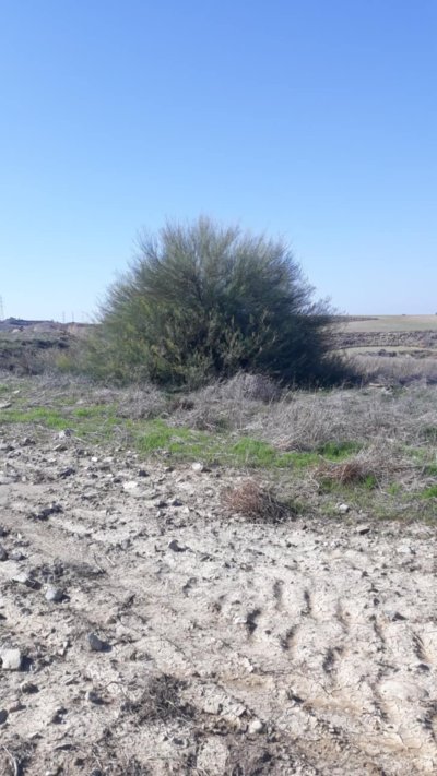 oncelikli-sayfa-17-bir-kibrislirum-okurumuza-gore-latcada-bu-alandaki-kuyu-olasi-bir-gomu-yeri-olabilir.jpg