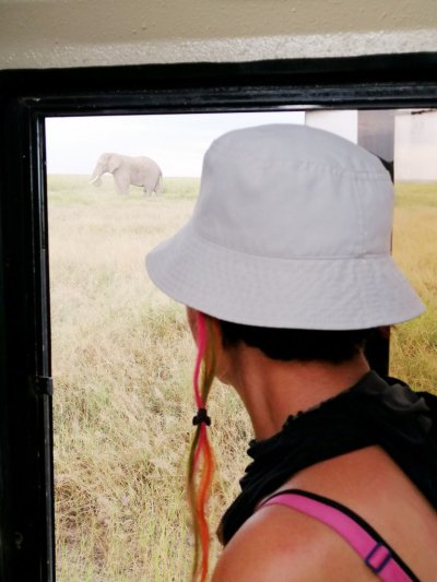 safari-nez-profil-2-768x1024.jpg