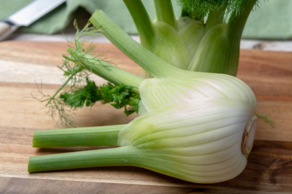 what-is-fennel-gettyimages-1153082283-9a26c54d5c2a4ef8aedbaae4850dce77.jpg